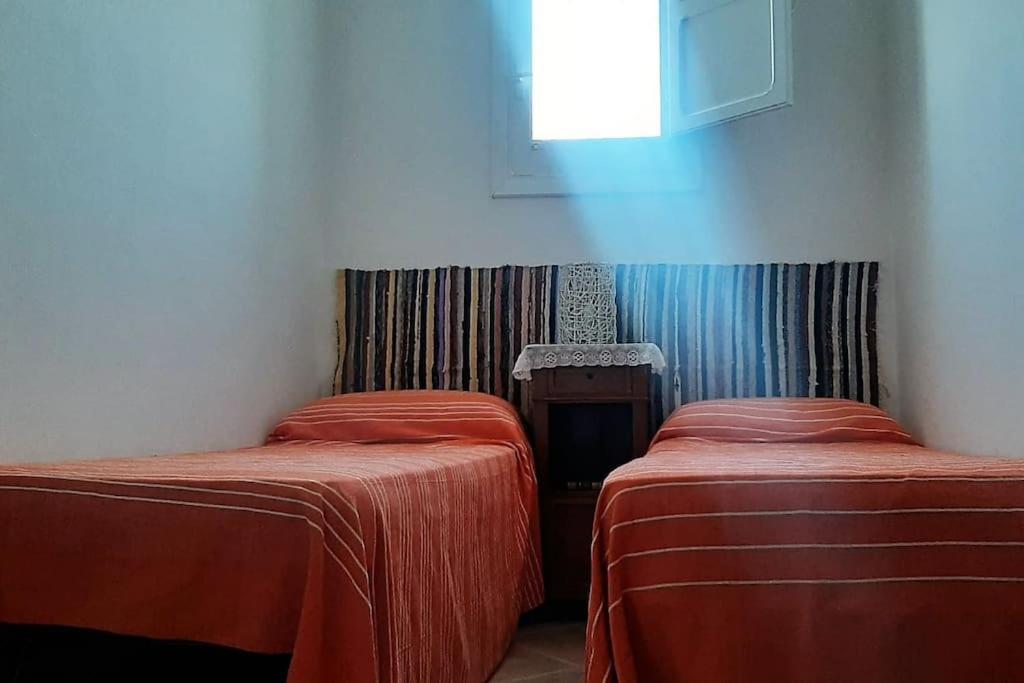 Cammini Di Sale Casa Vacanze Tra Le Saline Torre Nubia Exterior foto