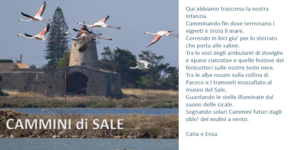 Cammini Di Sale Casa Vacanze Tra Le Saline Torre Nubia Exterior foto